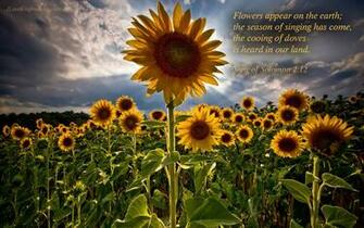 Bible Verse Wallpaper Christian Background Quotes