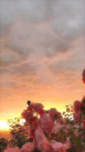 iPhone Wallpaper