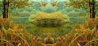 Psychedelic Nature Art Wallpaper By Scotto