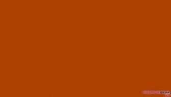 Solids Collection Burnt Orange Decal Style Skin Fits Sony Ps Vita