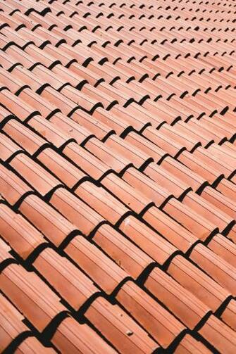 Roof Pictures Image