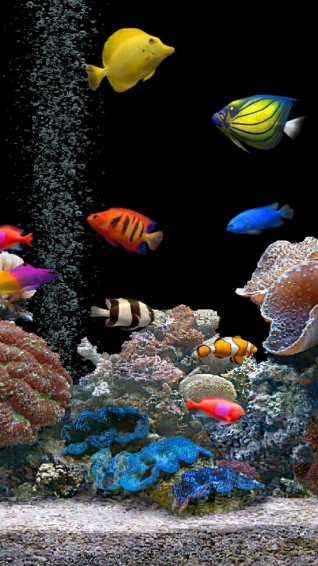 3d HD Live Wallpaper