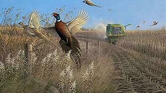 Pheasants Wallpaper Hq Desktop Hqwalls4u