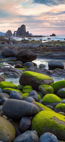 64k Ultra HD Nature Wallpaper Top