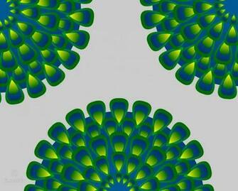 Peacock Feather Cartoon Rangoli Wallpaper