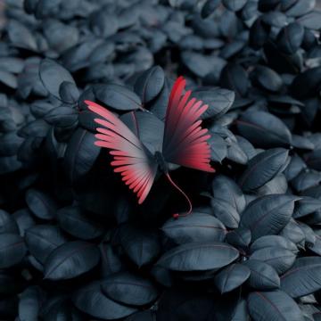 Butterfly Leaves Wings Wallpaper