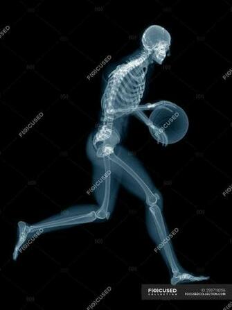 Basketball Player Skeletal Structure Digital Illustration On