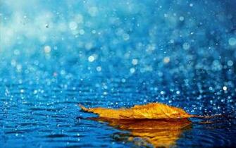Rainy Day Wallpaper One HD Pictures Background