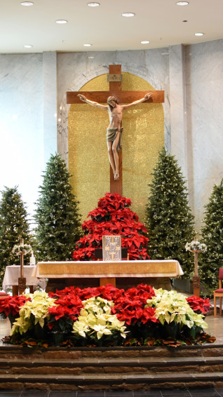Christmas Phone Wallpaper Nativity Catholic Church