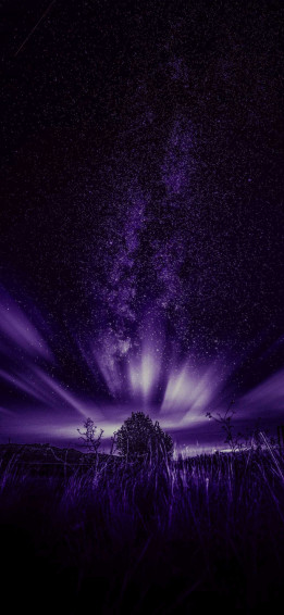 iPhone Pro Max Wallpaper