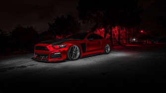 Mustang HD Wallpaper