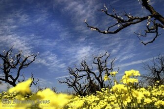 Beautiful And Lovely Spring Season Wallpaper For Desktop Background