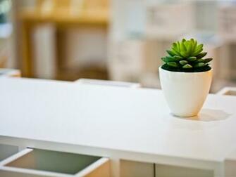 3d Computer Background Green Plant On White Desk