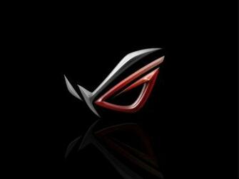 Best Noctua Wallpaper