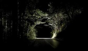 Night Forest Road HD Wallpaper