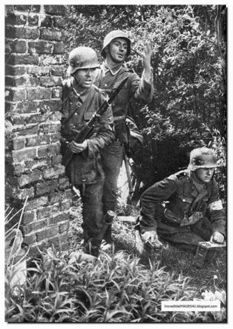 Waffen Ss Color In France Part