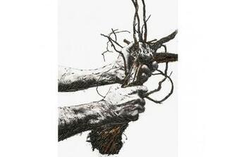 Vik Muniz Shared Roots Photographs At Frieze Hypebeast