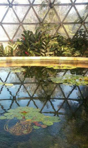 HD Wallpaper Geodesic Dome Biosphere Botany Botanical