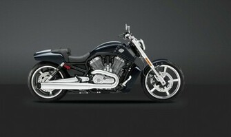 Harley Davidson V Rod Muscle Showing