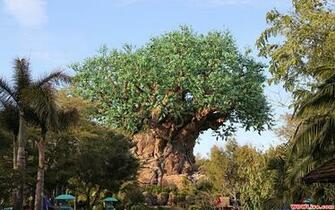 Tree Of Life The Majestic Foot Tall Animal Kingdom Centerpiece