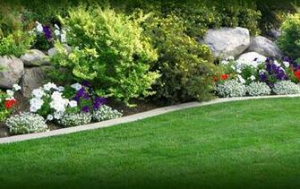 Backyard Gardens Wallpaper Top