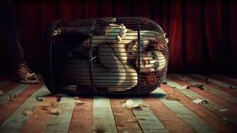 American Horror Story Freak Show HD Wallpaper Background