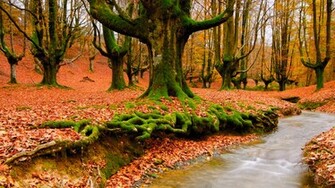 By Admin Comments Off On Top Beautiful Scenery Wallpaper