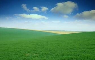 Green Field Desktop Pc And Mac Wallpaper