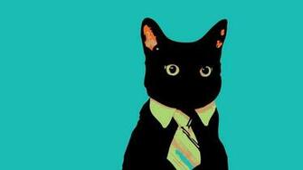 Cats HD Wallpaper Tags Black Cat Description