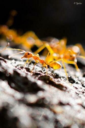 iPhone Windows Phone Android HD Wallpaper By Yadavthyagaraj On