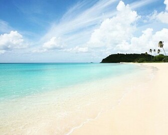 Sunny Beach And Crystal Blue Sea Wallpaper