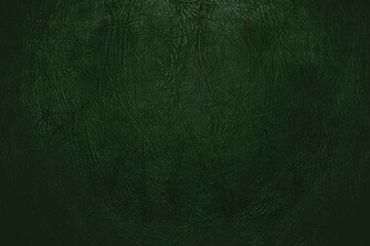 Forest Green Background Image Pictures Becuo