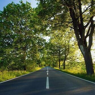 Spring Road iPad Air Wallpaper iPhone
