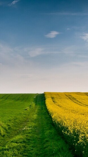 Wallpaper On Computer You Can Easily Image To Your iPhone