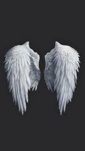 Toedit Angel Wing Background Background Frame Border
