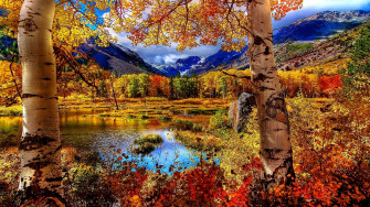 Autumn Scenic Wallpaper