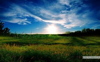 Related Pictures Windows Xp Pro Desktop Pc And Mac Wallpaper
