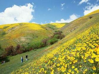 Nature Peolple In Country Hill Photo People And