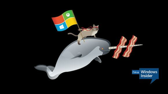 Stellt Ninjacat Wallpaper F R Windows Insider Zum Bereit