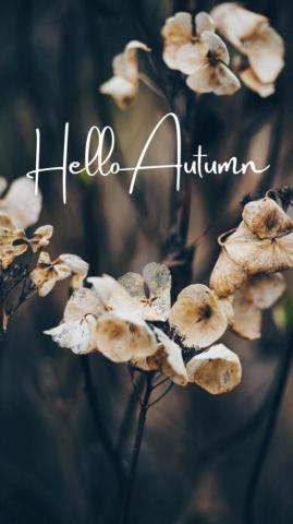 Autumn iPhone Wallpaper For September Classically Cait
