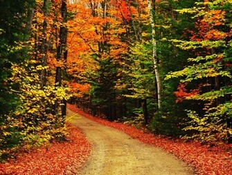 Wallpaper Background Desktop Awesome Background For