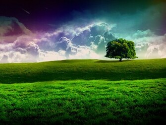 Cool Green Grassland Landscape Wallpaper Definition
