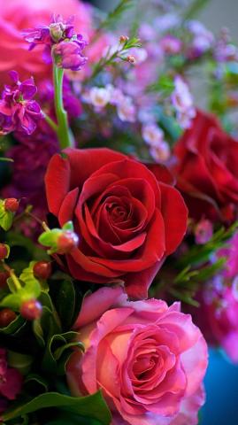 Earth Rose
