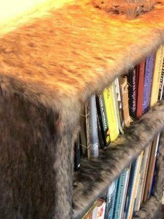 Faux Fur Bookshelf By Modern Art Design Furry