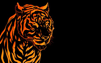 Cool Tiger Background Wallpaper