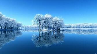 Snow White Trees Desktop Pc And Mac Wallpaper