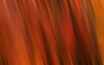 Results For Fall Colors Background Pictures Imagebasket Net