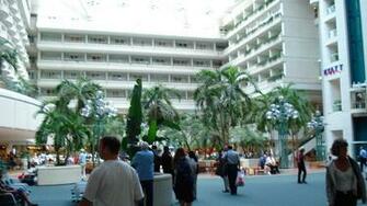Orlando Florida Mco Air Travel Wallpaper