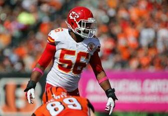 Cincinnati Bengals At Paul Brown Stadium The Won