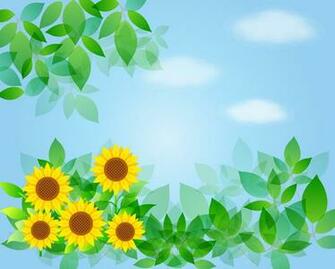 Sunflower Background Sky Image On